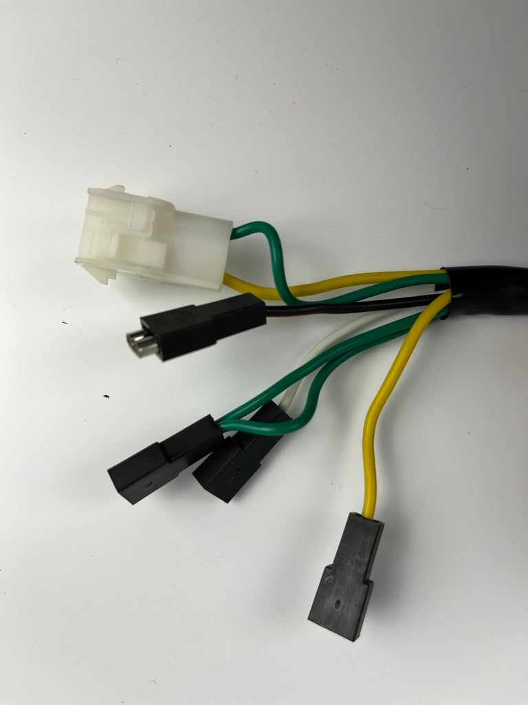 Lichtmaschine/Zündung mit Rotor/Polrad für D50B0/EBS/EBE, NEU
