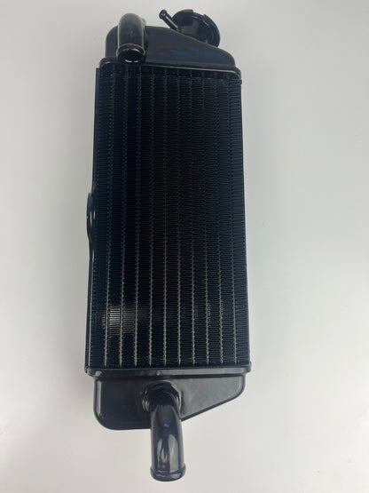 Kühler für Beta RR ab 2005, NEU