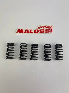 Kupplungsfedernsatz Malossi Racing, D50B0 EBE/EBS, CPI