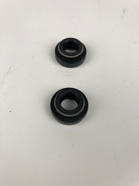 Wellendichtring Wasserpumpe Minarelli AM6, 2 Stk.