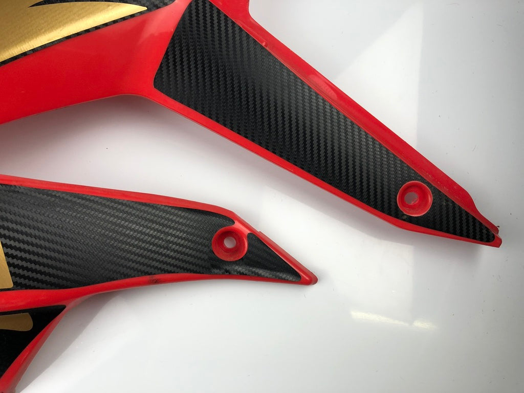 Tankverkleidung links und rechts DRD Racing 11-17