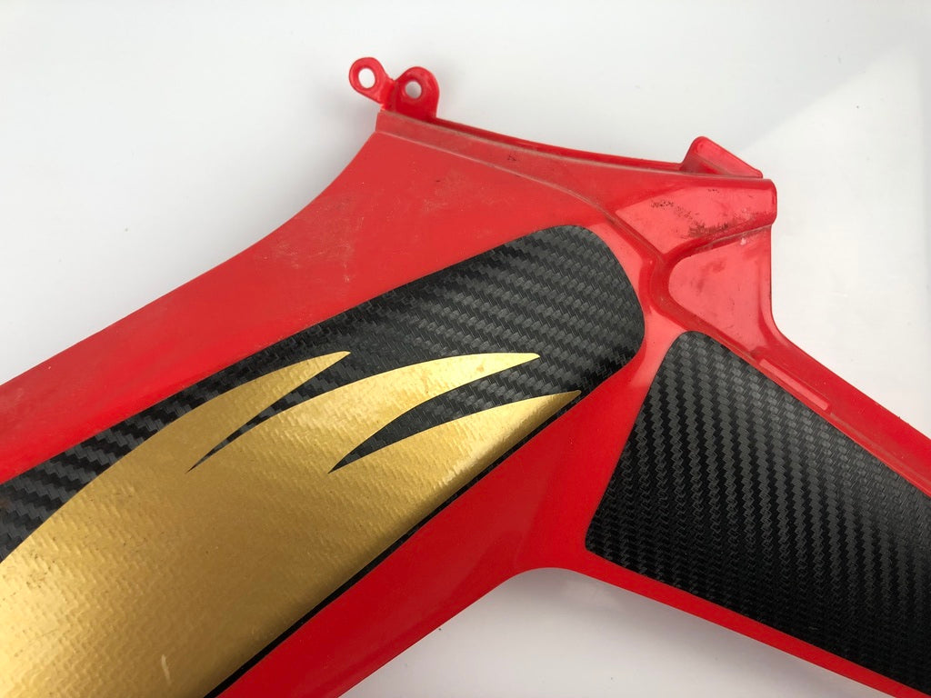 Tankverkleidung links und rechts DRD Racing 11-17