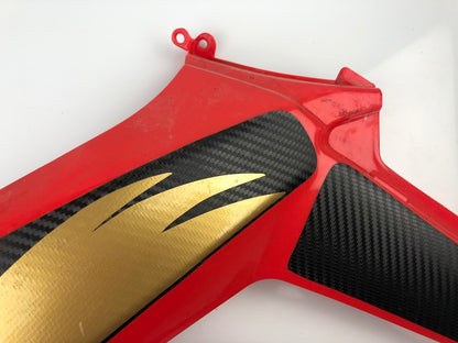 Tankverkleidung links und rechts DRD Racing 11-17