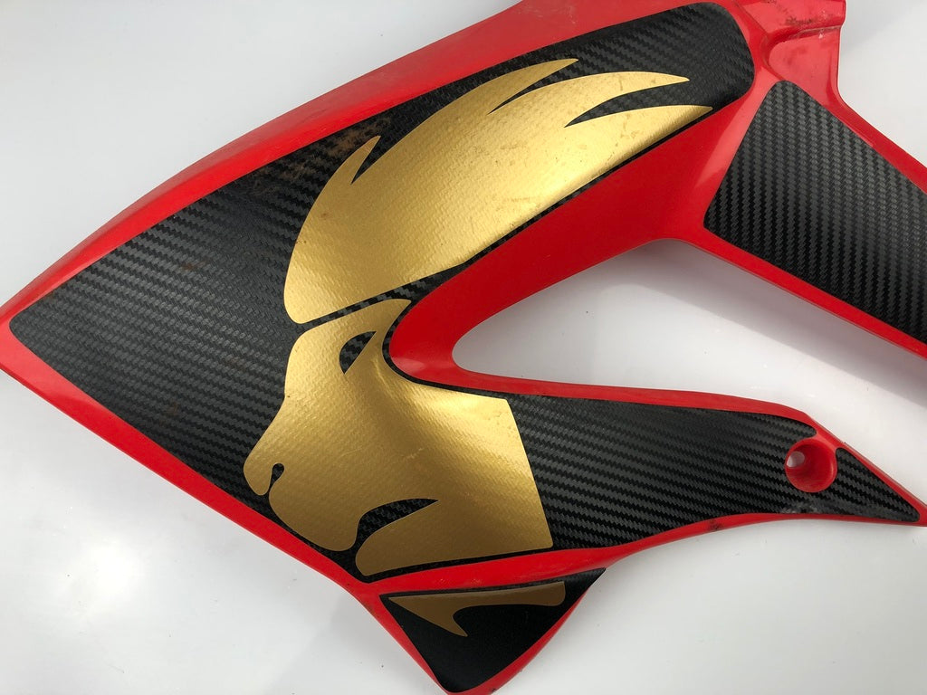 Tankverkleidung links und rechts DRD Racing 11-17