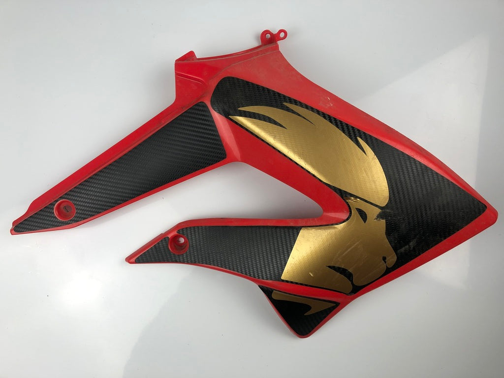 Tankverkleidung links und rechts DRD Racing 11-17