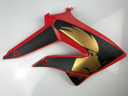 Tankverkleidung links und rechts DRD Racing 11-17