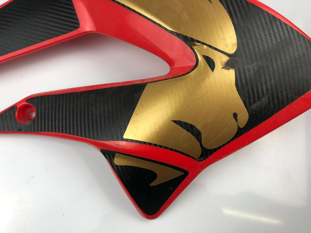 Tankverkleidung links und rechts DRD Racing 11-17