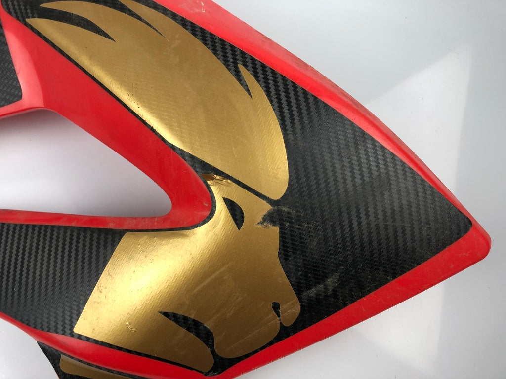 Tankverkleidung links und rechts DRD Racing 11-17