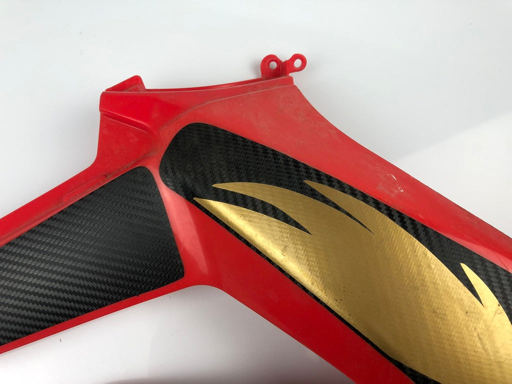 Tankverkleidung links und rechts DRD Racing 11-17