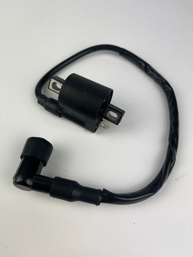 Zündspule, 1 Pin, 12V universal, NEU