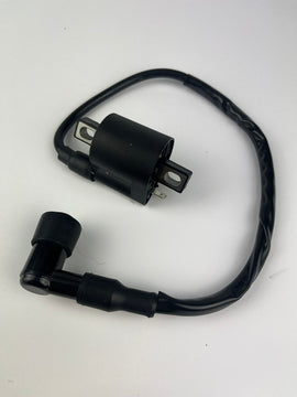 Zündspule, 1 Pin, 12V universal, NEU