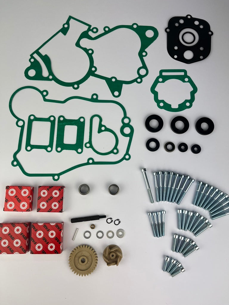 Motorrevisionskit D50B0