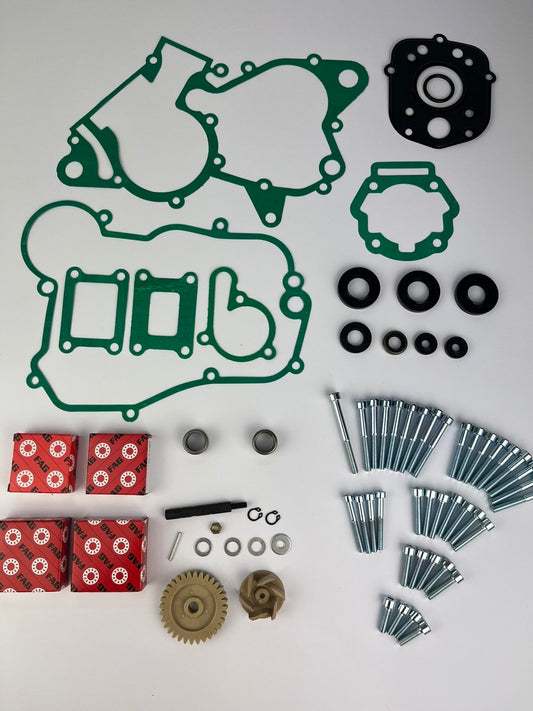 Motorrevisionskit D50B0