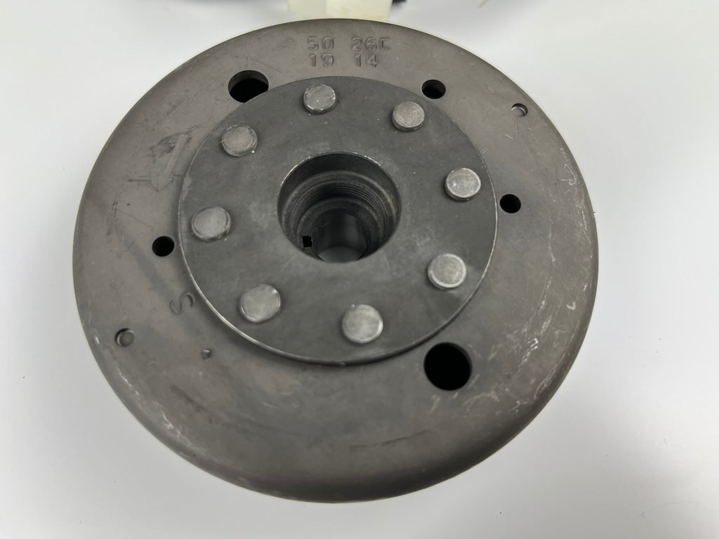 Lichtmaschine/Zündung mit Rotor/Polrad für D50B0/EBS/EBE, NEU