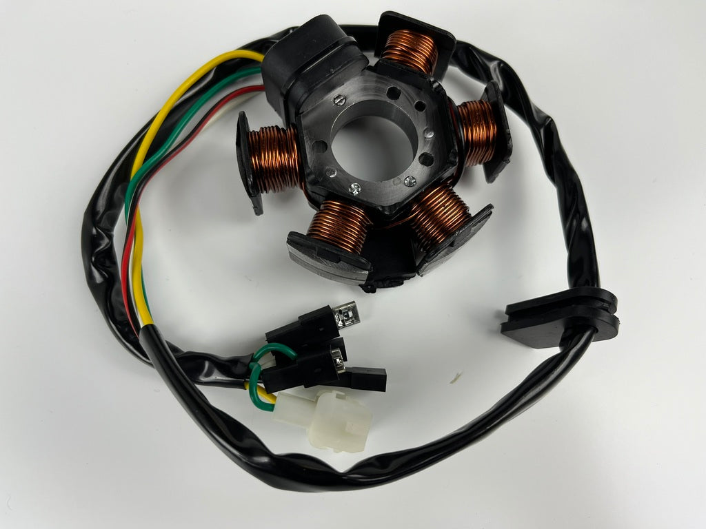 Lichtmaschine/Zündung mit Rotor/Polrad für D50B0/EBS/EBE, NEU