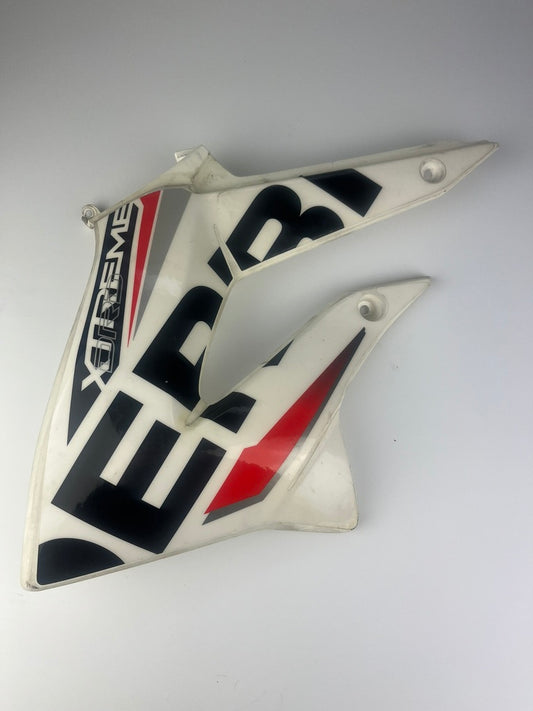 Tankverkleidung links DRD Racing 11-17