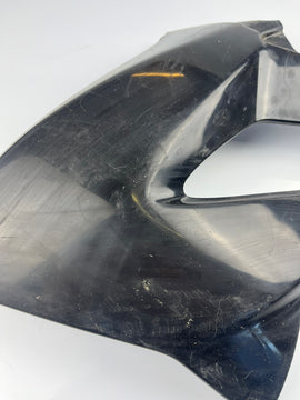 Tankverkleidung links DRD Racing 11-17