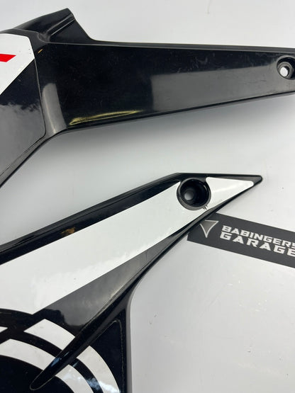 Tankverkleidung links DRD Racing 11-17