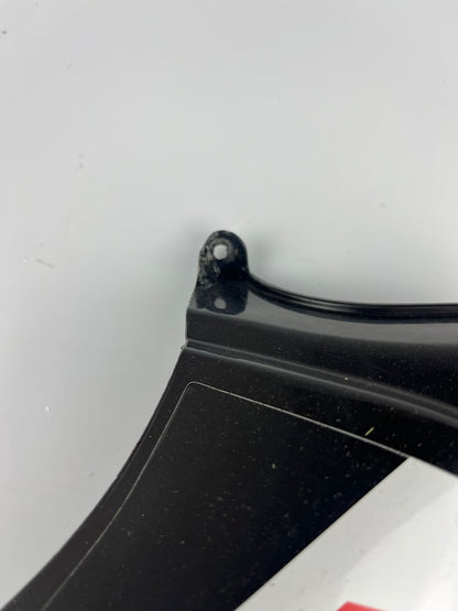 Tankverkleidung links DRD Racing 11-17