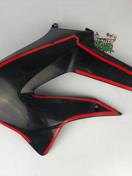 Tankverkleidung links DRD Racing 11-17