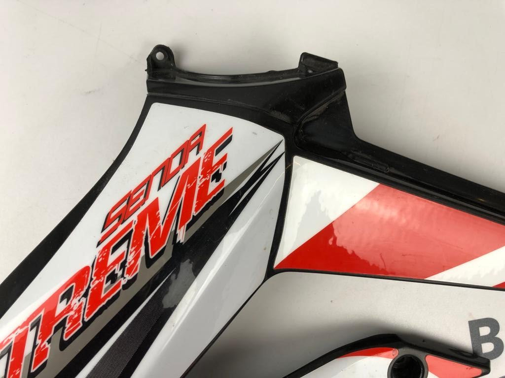 Tankverkleidung links DRD Racing 11-17