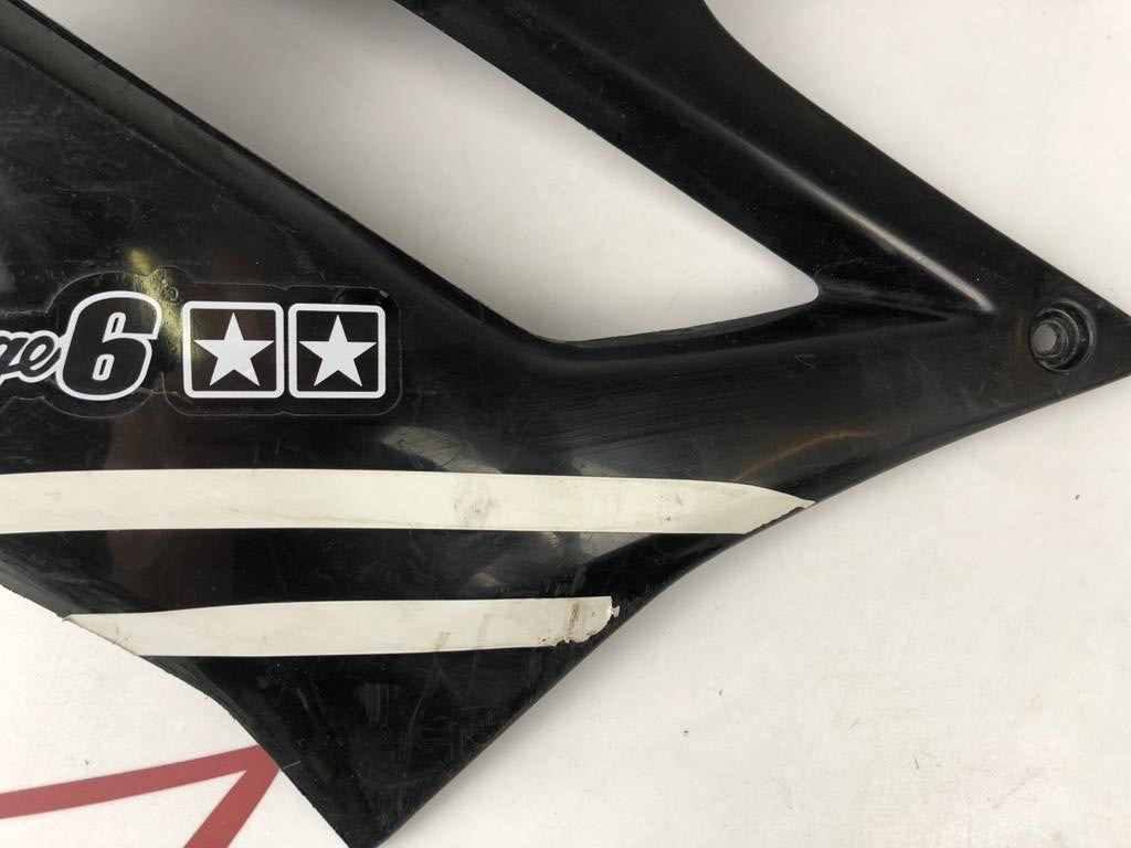 Tankverkleidung links DRD Racing 06-11