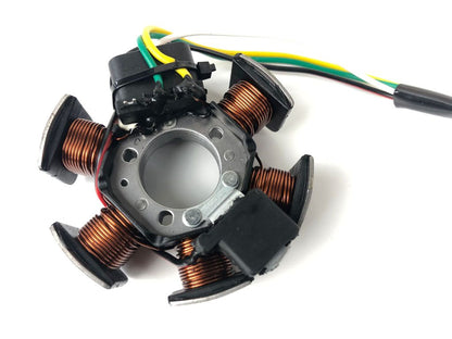 Lichtmaschine Stator 85W für D50B0/EBS/EBE NEU
