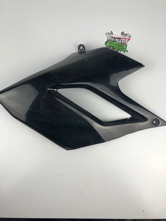 Tankverkleidung links DRD Racing 06-11
