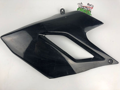 Tankverkleidung links DRD Racing 06-11
