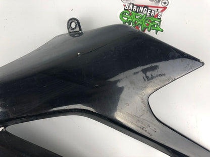 Tankverkleidung links DRD Racing 06-11