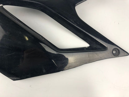 Tankverkleidung links DRD Racing 06-11