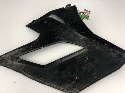 Tankverkleidung links DRD Racing 06-11