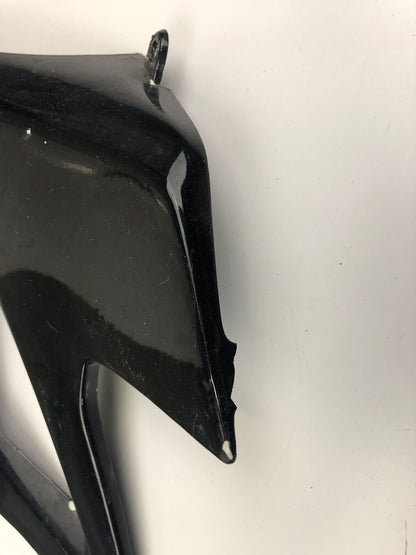 Tankverkleidung links DRD Racing 06-11