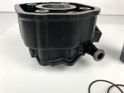 Ersatzzylinderkit 50cc, EBS/EBE NEU